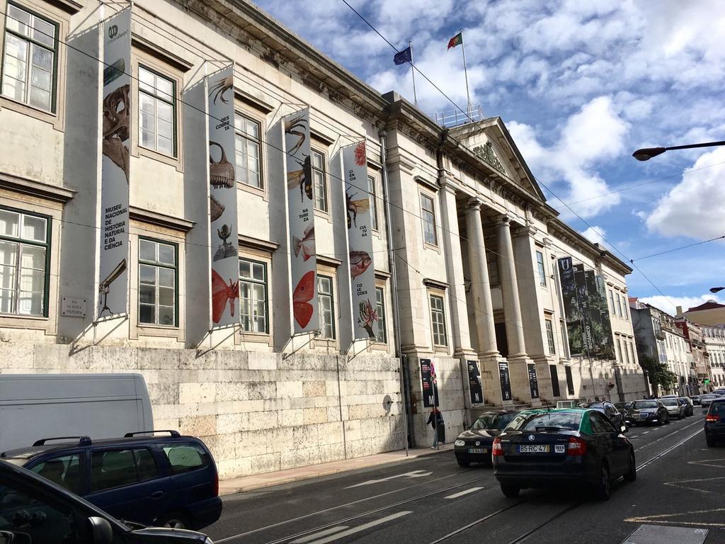 Casa Eclea Lisbon Principe Real Leilighet Eksteriør bilde